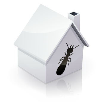 diagnostic termites diagnostics immobiliers charente maritime vente location